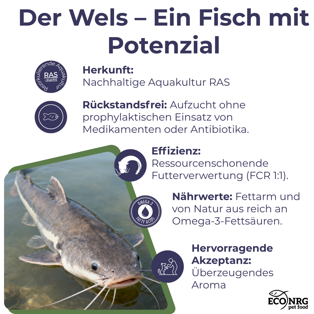 FISH CRUNCH | Șir de somn | 3x100g | recompensa pentru caini