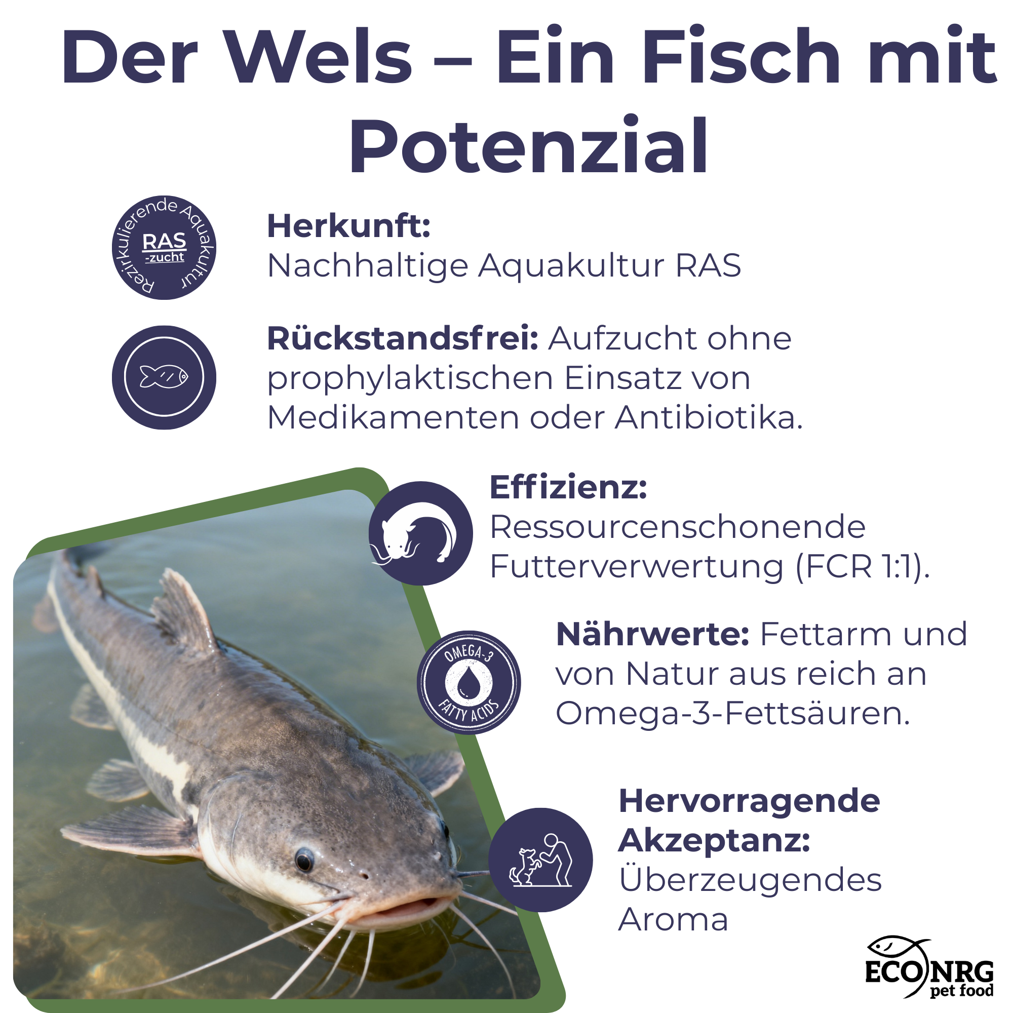 FISH CRUNCH | Șir de somn | 3x100g | recompensa pentru caini